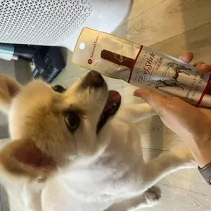 베스트 후기 이미지