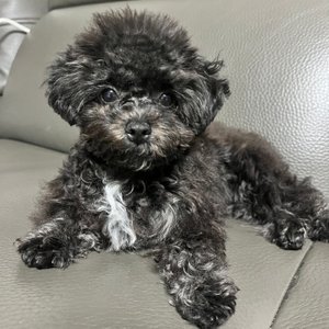 베스트 후기 이미지