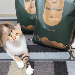 베스트 후기 이미지
