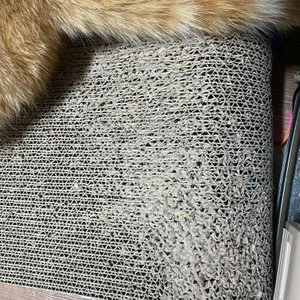 네꼬모리 캣카우치 베스트 후기 이미지