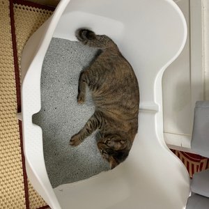 베스트 후기 이미지