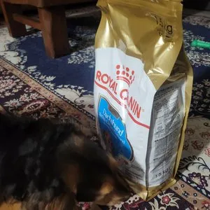 베스트 후기 이미지