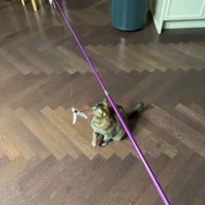 베스트 후기 이미지