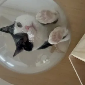 베스트 후기 이미지