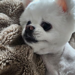 베스트 후기 이미지