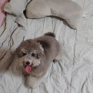 베스트 후기 이미지