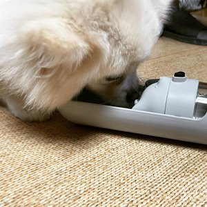 베스트 후기 이미지