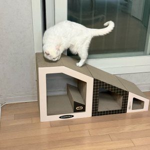 베스트 후기 이미지