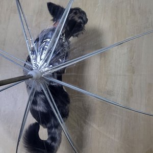 베스트 후기 이미지