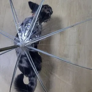 베스트 후기 이미지