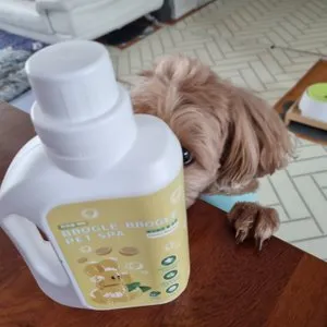 베스트 후기 이미지