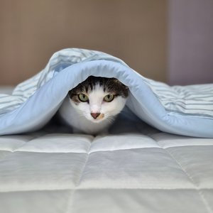베스트 후기 이미지