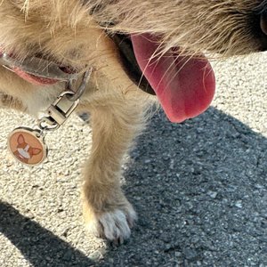 베스트 후기 이미지
