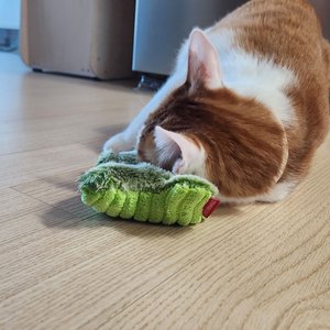 베스트 후기 이미지