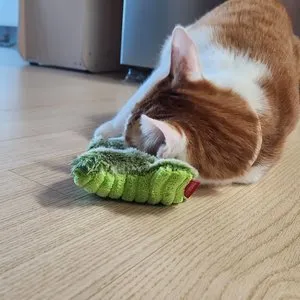 베스트 후기 이미지