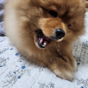 베스트 후기 이미지