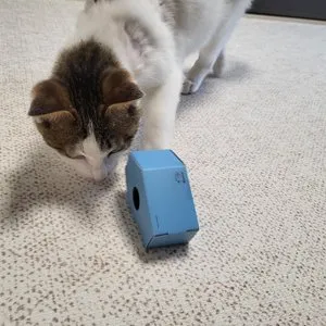 베스트 후기 이미지