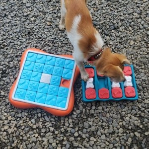 니나오토슨 챌린지 베스트 후기 이미지