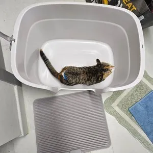 베스트 후기 이미지