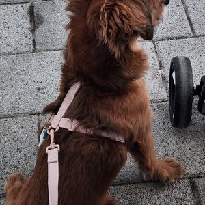 베스트 후기 이미지