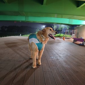 베스트 후기 이미지
