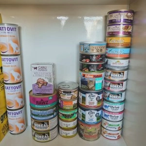 웰니스 캣 코어 시그니쳐 셀렉트 파테 닭고기&칠면조 키튼 캔 79g 베스트 후기 이미지