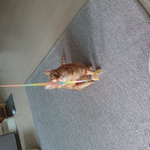 베스트 후기 이미지
