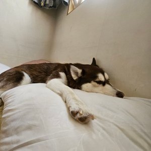 베스트 후기 이미지
