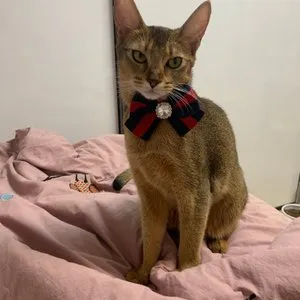 베스트 후기 이미지