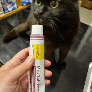 베스트 후기 이미지