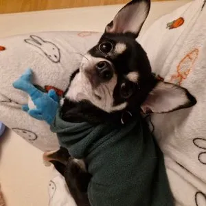 베스트 후기 이미지