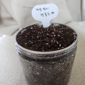 베스트 후기 이미지