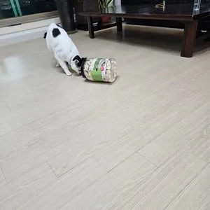 베스트 후기 이미지