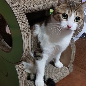 베스트 후기 이미지