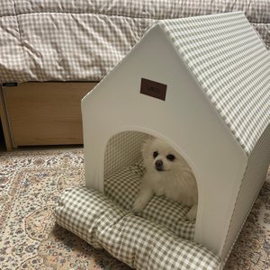 베스트 후기 이미지