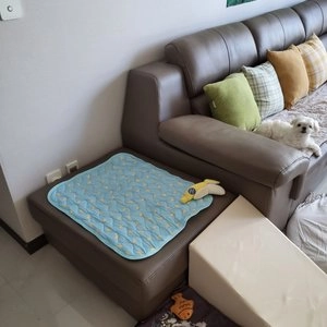 [무료배송] 도그웨그 후르츠 쿨방석 복숭아/바나나/아보카도 S-L 베스트 후기 이미지