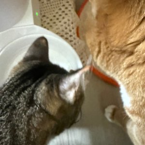 베스트 후기 이미지