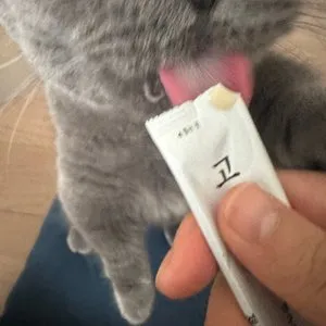 베스트 후기 이미지