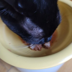 베스트 후기 이미지