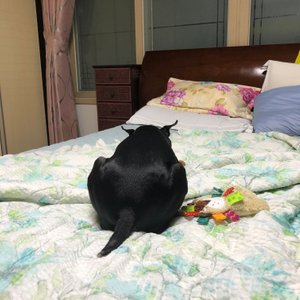 베스트 후기 이미지