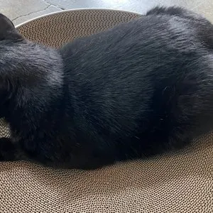 베스트 후기 이미지