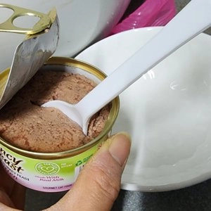 퓨리나 캣 팬시피스트 부드러운 칠면조 키튼 캔 85g 베스트 후기 이미지