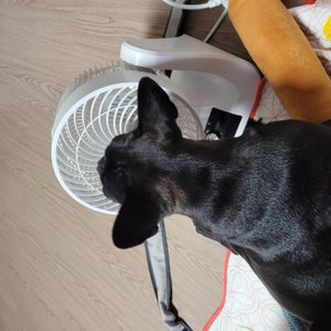 베스트 후기 이미지