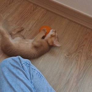 베스트 후기 이미지