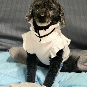 베스트 후기 이미지