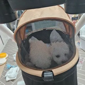 베스트 후기 이미지