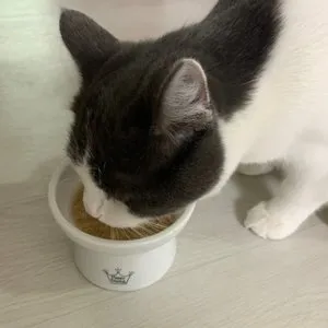 베스트 후기 이미지