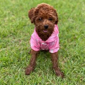 베스트 후기 이미지