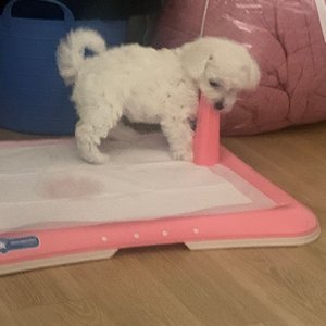 베스트 후기 이미지