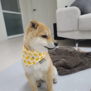 베스트 후기 이미지